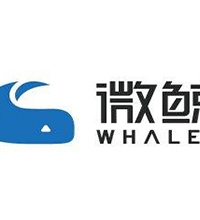 微鲸科技LOGO设计欣赏-科技企业LOGO设计说明