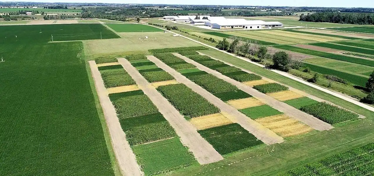 U of G Researchers Purpose to Make ‘Good Farming’ Work for Better Meals Safety